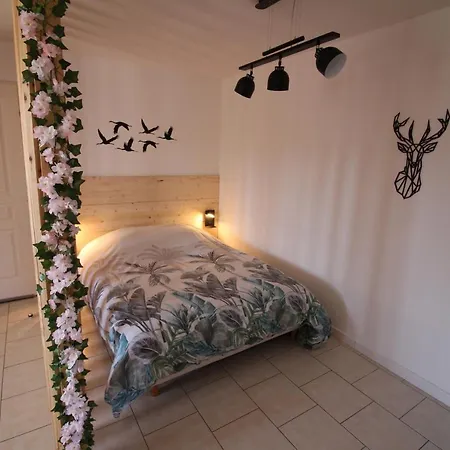 T1 Confort Au Du Der Appartement *